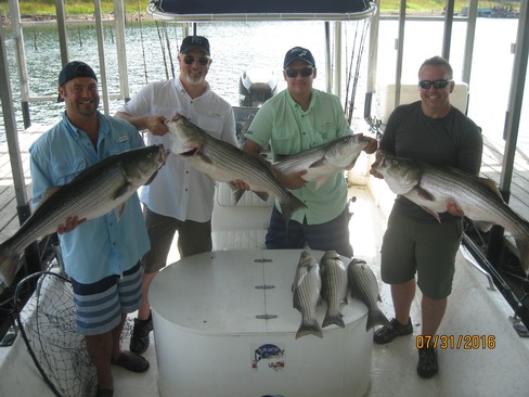 Nice Striped Bass